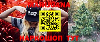 индика Кинель