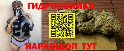 индика Кинель