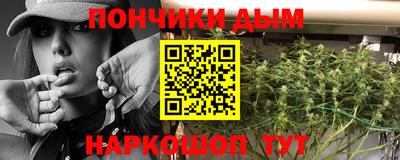 индика Кинель