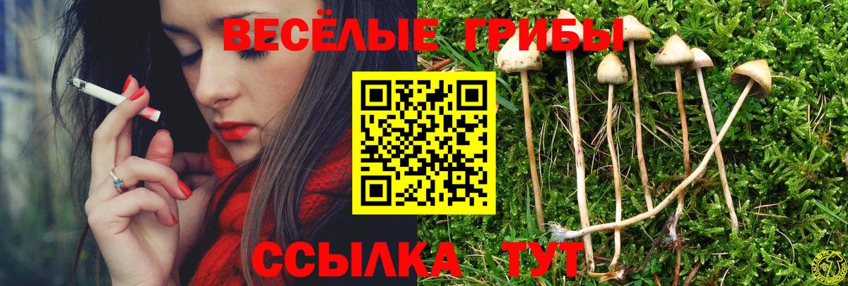 Псилоцибиновые грибы Magic Shrooms  магазин    Кандалакша  Вход с VPN 